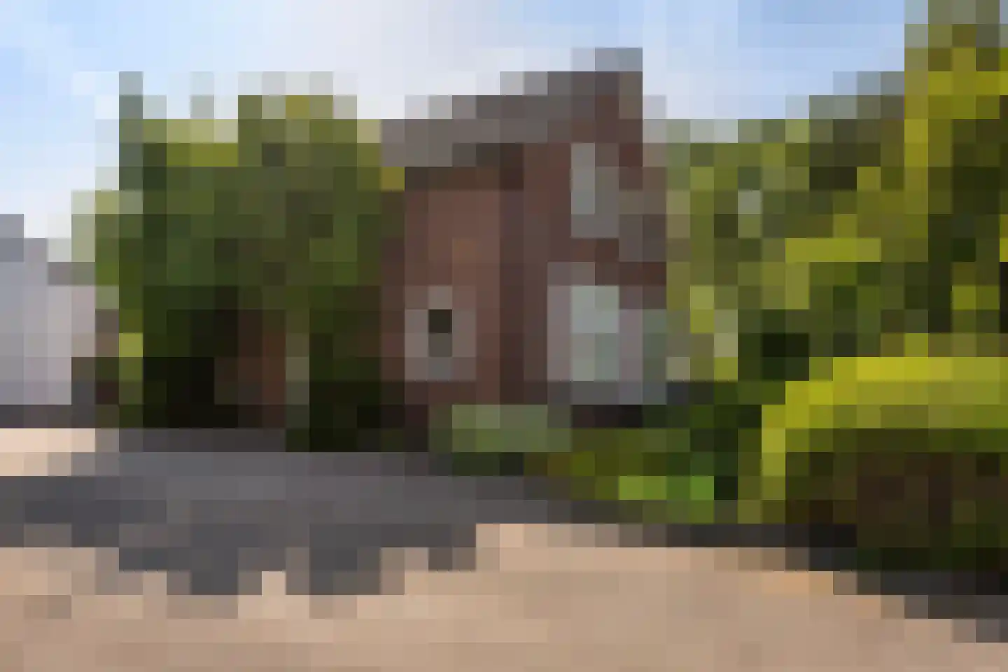Groeneweg 26 's-Gravenzande thumbnail 66