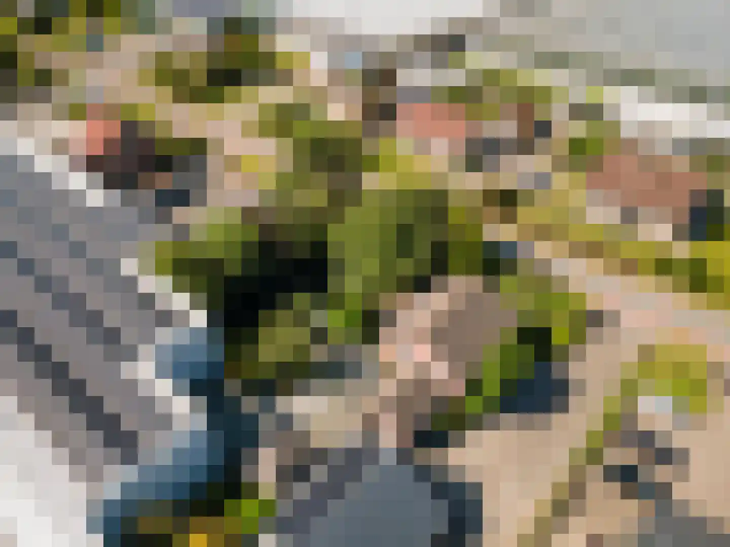 Groeneweg 26 's-Gravenzande thumbnail 69