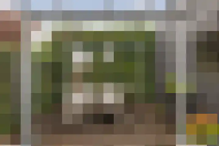 Groeneweg 27 Apeldoorn thumbnail 21