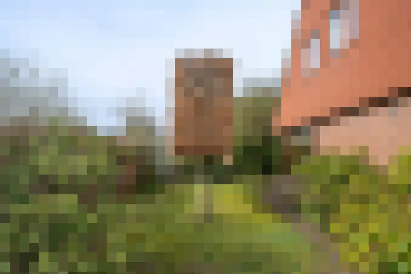 Groeneweg 29 Eerbeek thumbnail 28