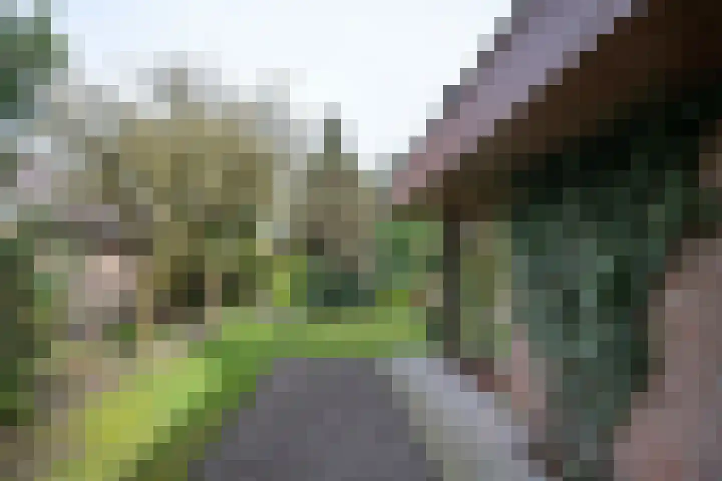 Groeneweg 29 Eerbeek thumbnail 30