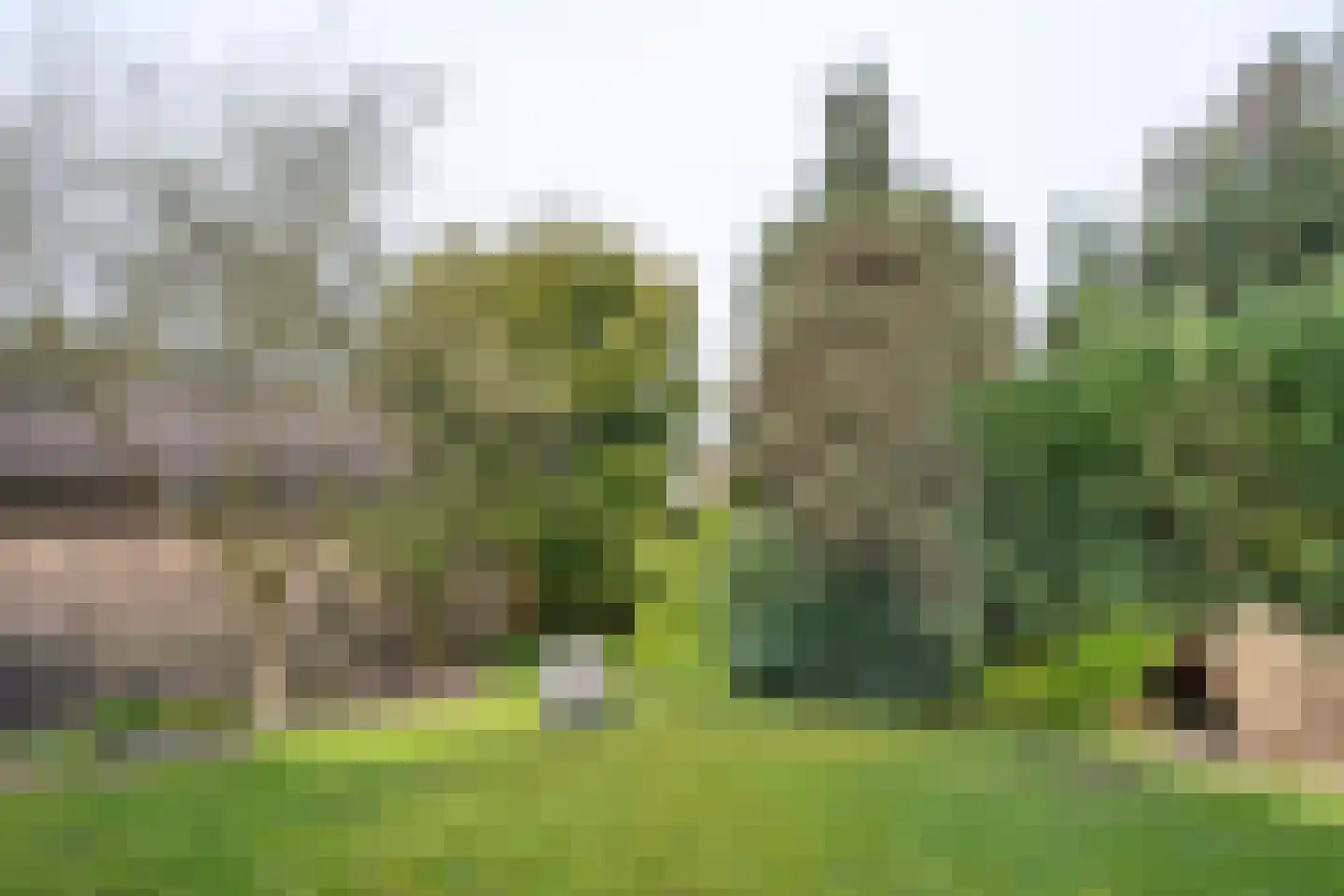 Groeneweg 29 Eerbeek thumbnail 4
