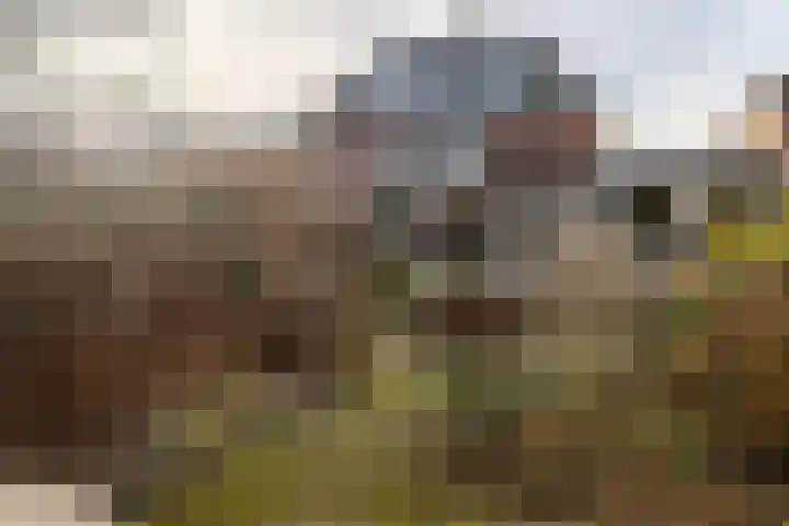 Groeneweg 29 Groenlo thumbnail 19