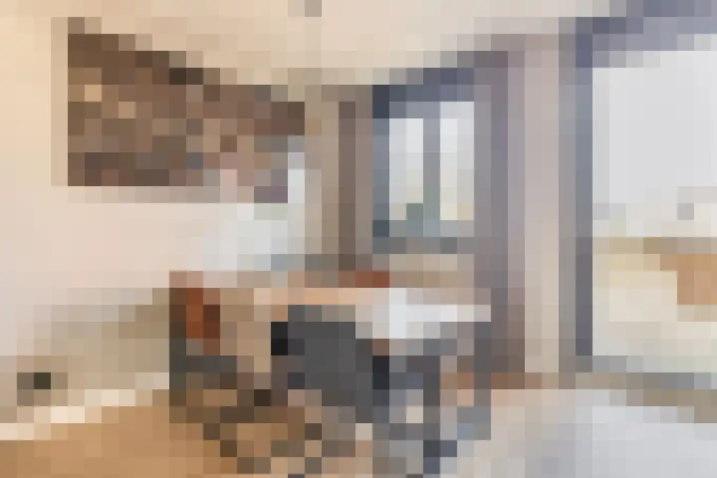 Groeneweg 29 Schijndel thumbnail 8