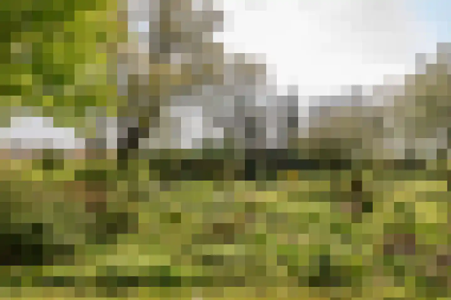 Groeneweg 3 Bergen (NH) thumbnail 30