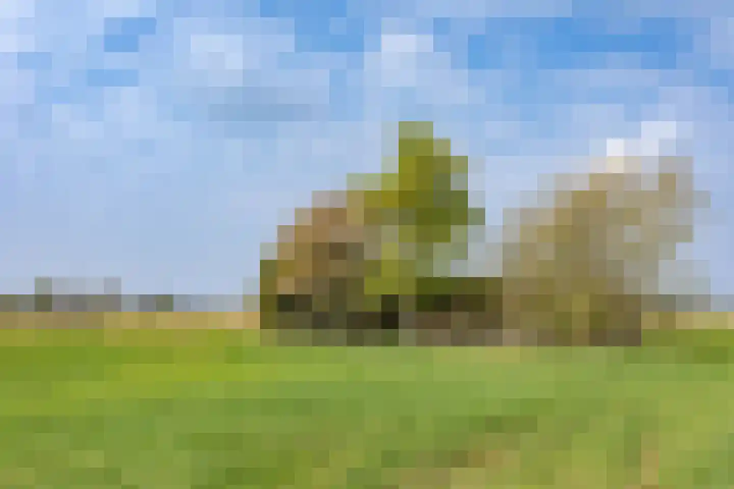 Groeneweg 3 Bergen (NH) thumbnail 32