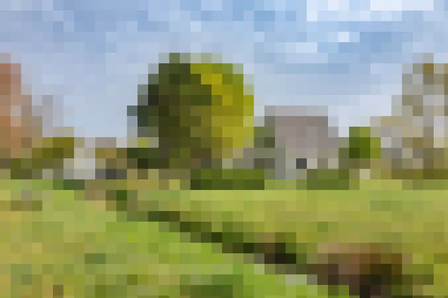 Groeneweg 3 Bergen (NH) thumbnail 34