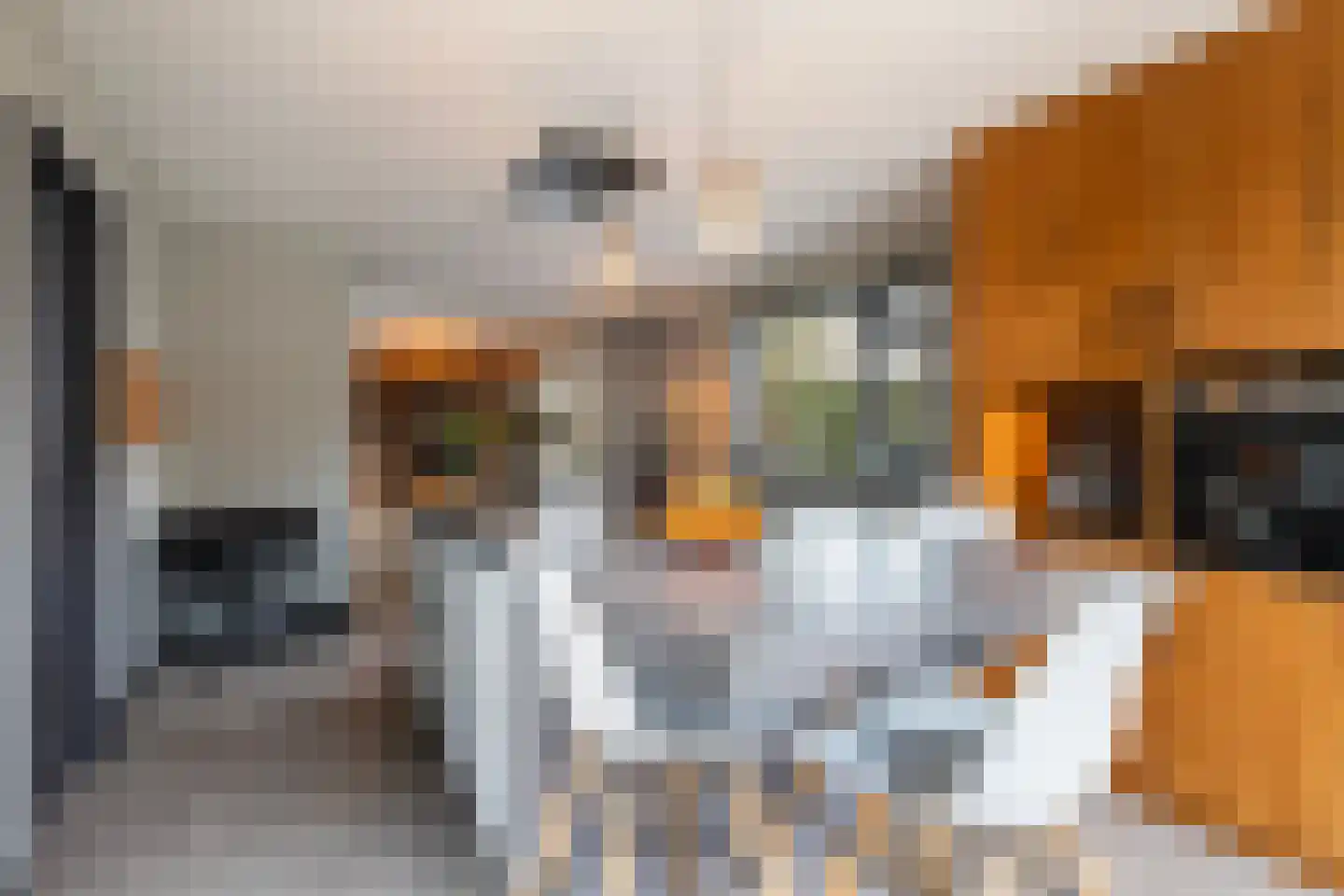 Groeneweg 3 Oene thumbnail 20