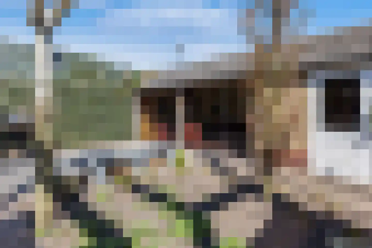 Groeneweg 3 Oene thumbnail 48