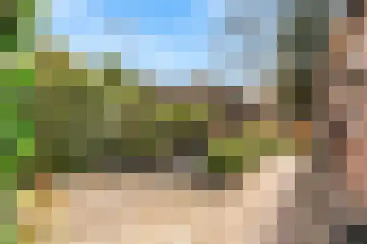 Groeneweg 33 Renkum thumbnail 26