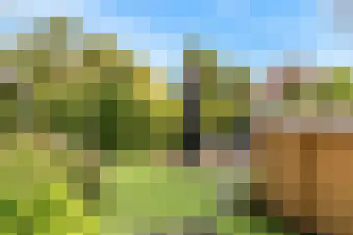 Groeneweg 33 Renkum thumbnail 28