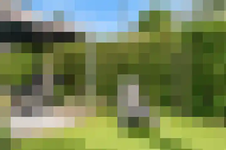 Groeneweg 33 Renkum thumbnail 31