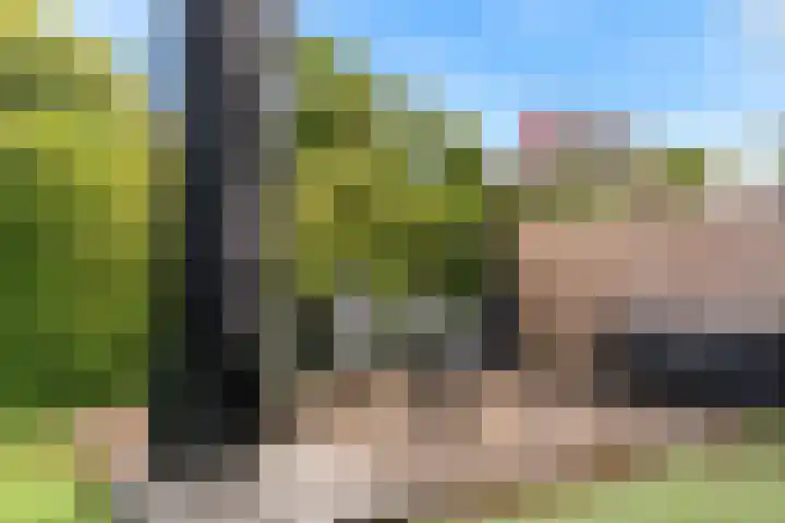 Groeneweg 33 Renkum thumbnail 32