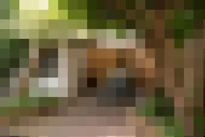 Groeneweg 35 Utrecht thumbnail 19