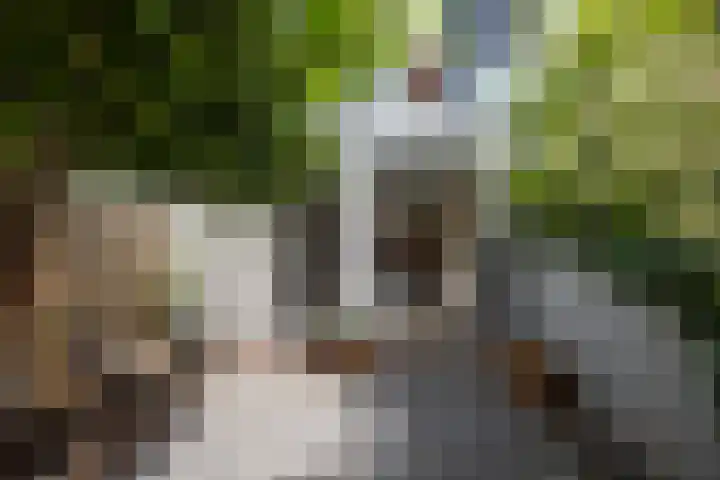 Groeneweg 35 Utrecht thumbnail 23