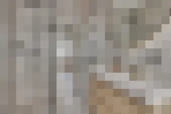 Groeneweg 35 Utrecht thumbnail 33