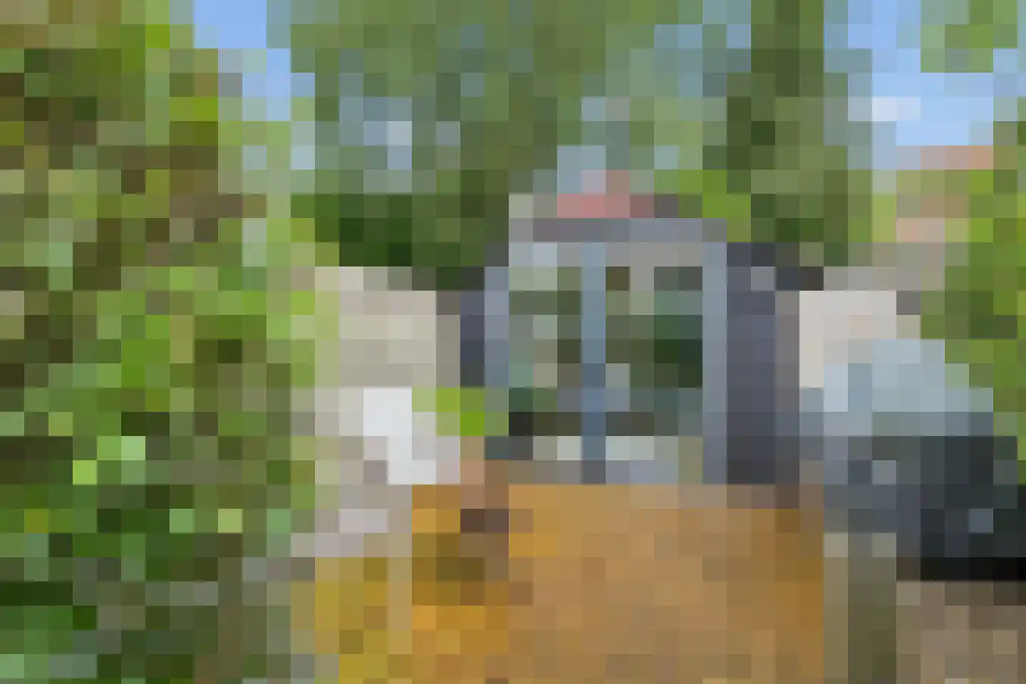 Groeneweg 38 Bunnik thumbnail 33
