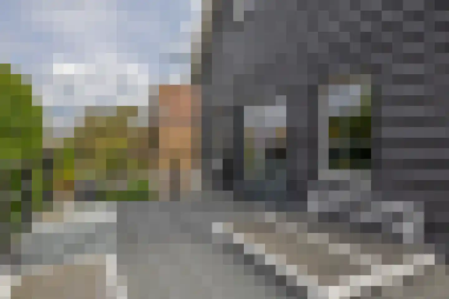 Groeneweg 5 Rotterdam thumbnail 31