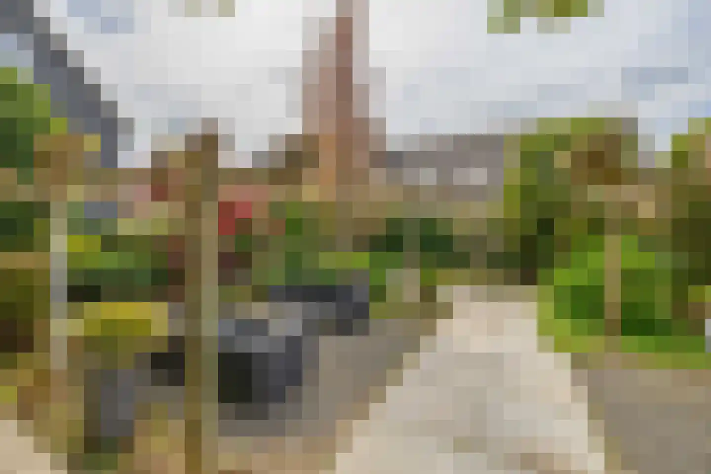 Groeneweg 5 Rotterdam thumbnail 33