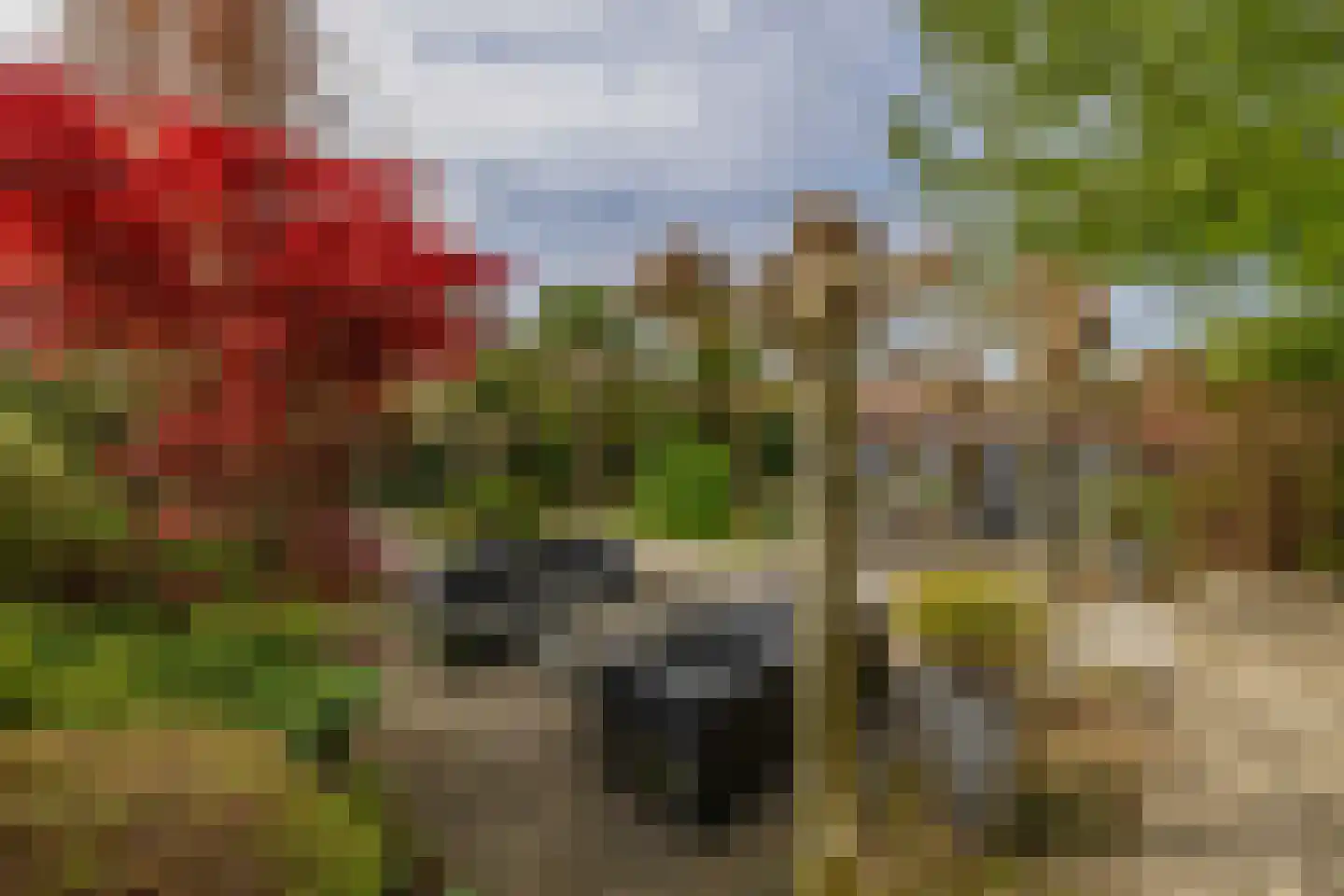 Groeneweg 5 Rotterdam thumbnail 34