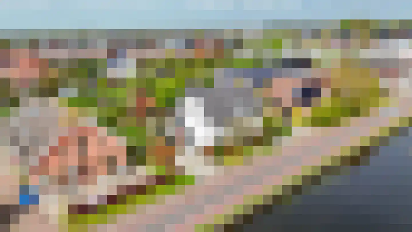 Groeneweg 5 Rotterdam thumbnail 46