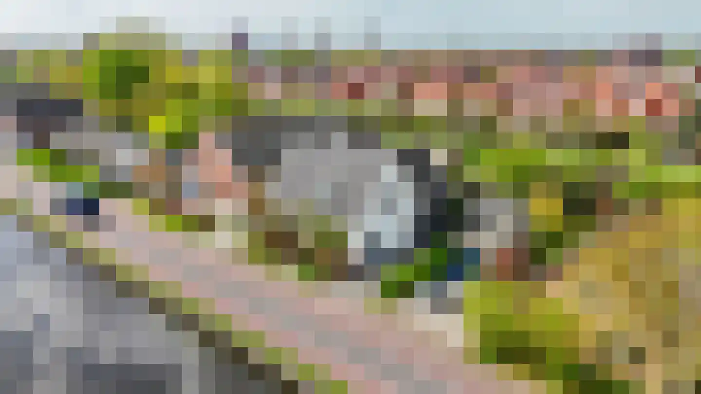 Groeneweg 5 Rotterdam thumbnail 47