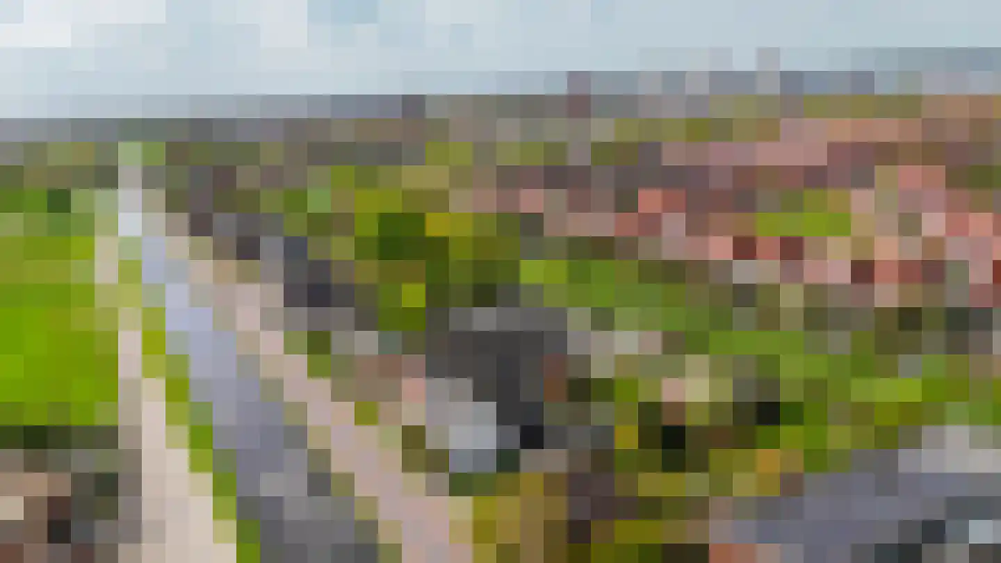 Groeneweg 5 Rotterdam thumbnail 52