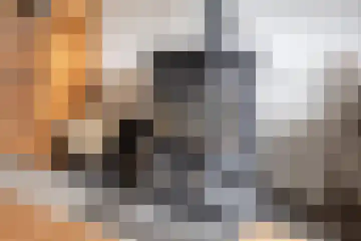 Groeneweg 5 Zoelmond thumbnail 13