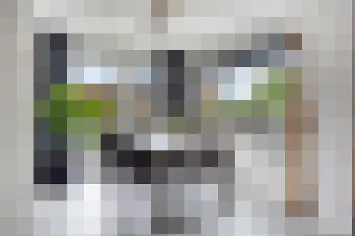 Groeneweg 5 Zoelmond thumbnail 14