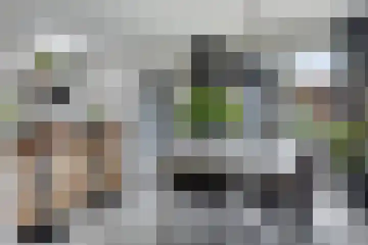 Groeneweg 5 Zoelmond thumbnail 15