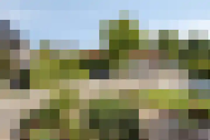 Groeneweg 5 Zoelmond thumbnail 30