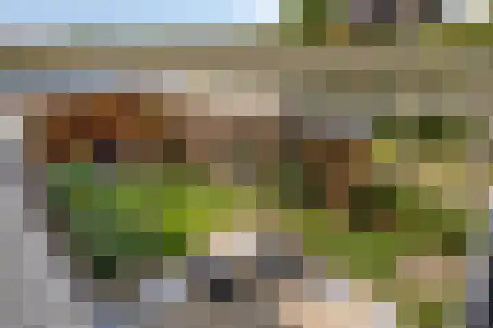 Groeneweg 5 Zoelmond thumbnail 37