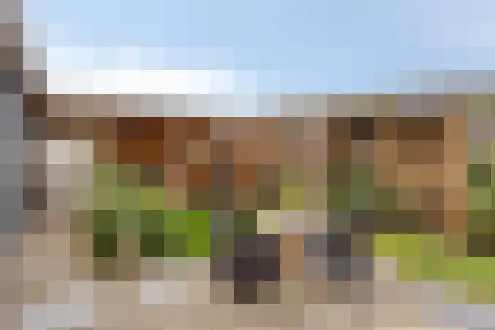 Groeneweg 5 Zoelmond thumbnail 38