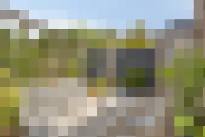 Groeneweg 5 Zoelmond thumbnail 4