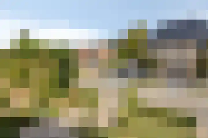 Groeneweg 5 Zoelmond thumbnail 44