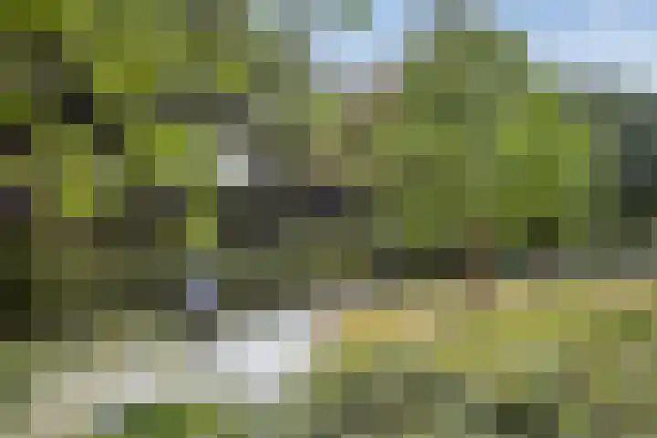 Groeneweg 5 Zoelmond thumbnail 45