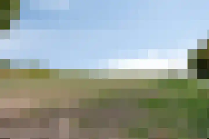 Groeneweg 5 Zoelmond thumbnail 46