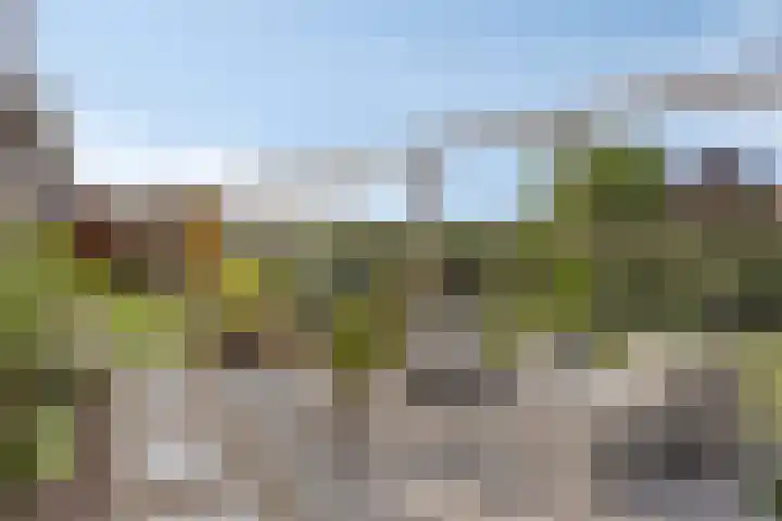 Groeneweg 5 Zoelmond thumbnail 5