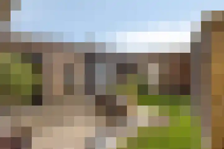 Groeneweg 5 Zoelmond thumbnail 6
