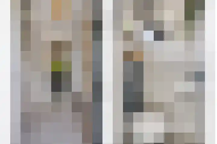 Groeneweg 5 Zoelmond thumbnail 7