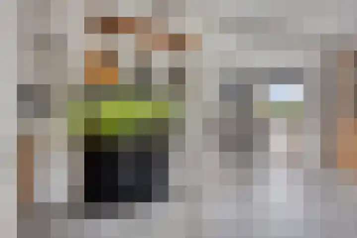 Groeneweg 5 Zoelmond thumbnail 8