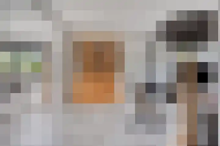 Groeneweg 5 Zoelmond thumbnail 9