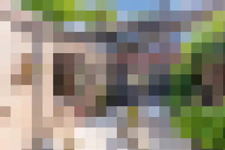 Groeneweg 58 Reusel thumbnail 24