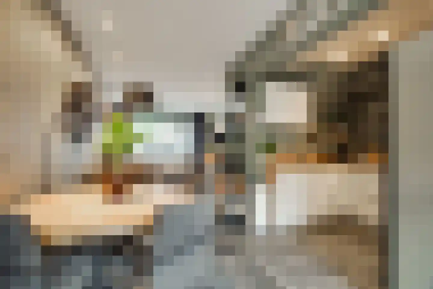 Groeneweg 6 Vlaardingen thumbnail 14