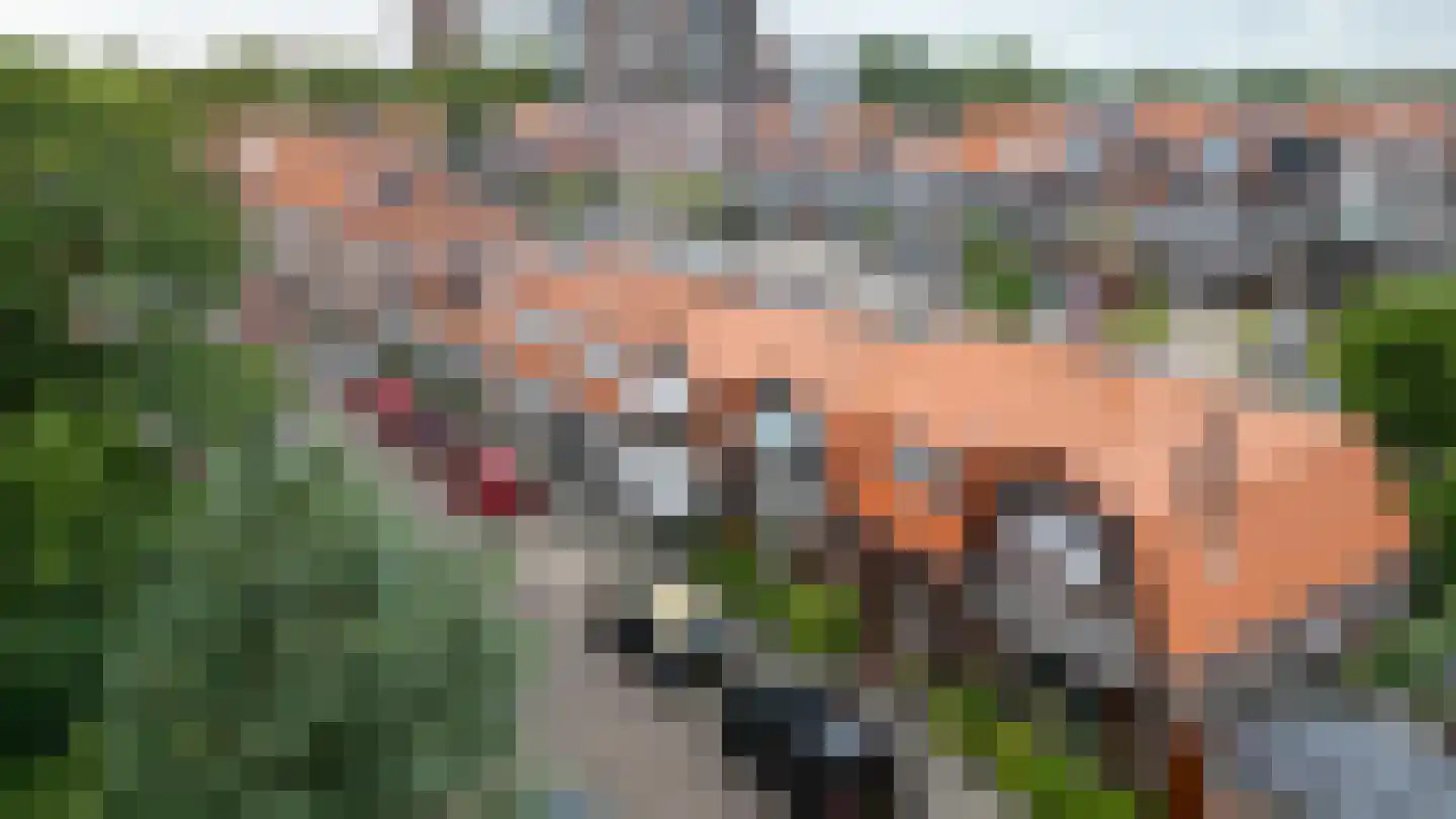 Groeneweg 6 Vlaardingen foto 3
