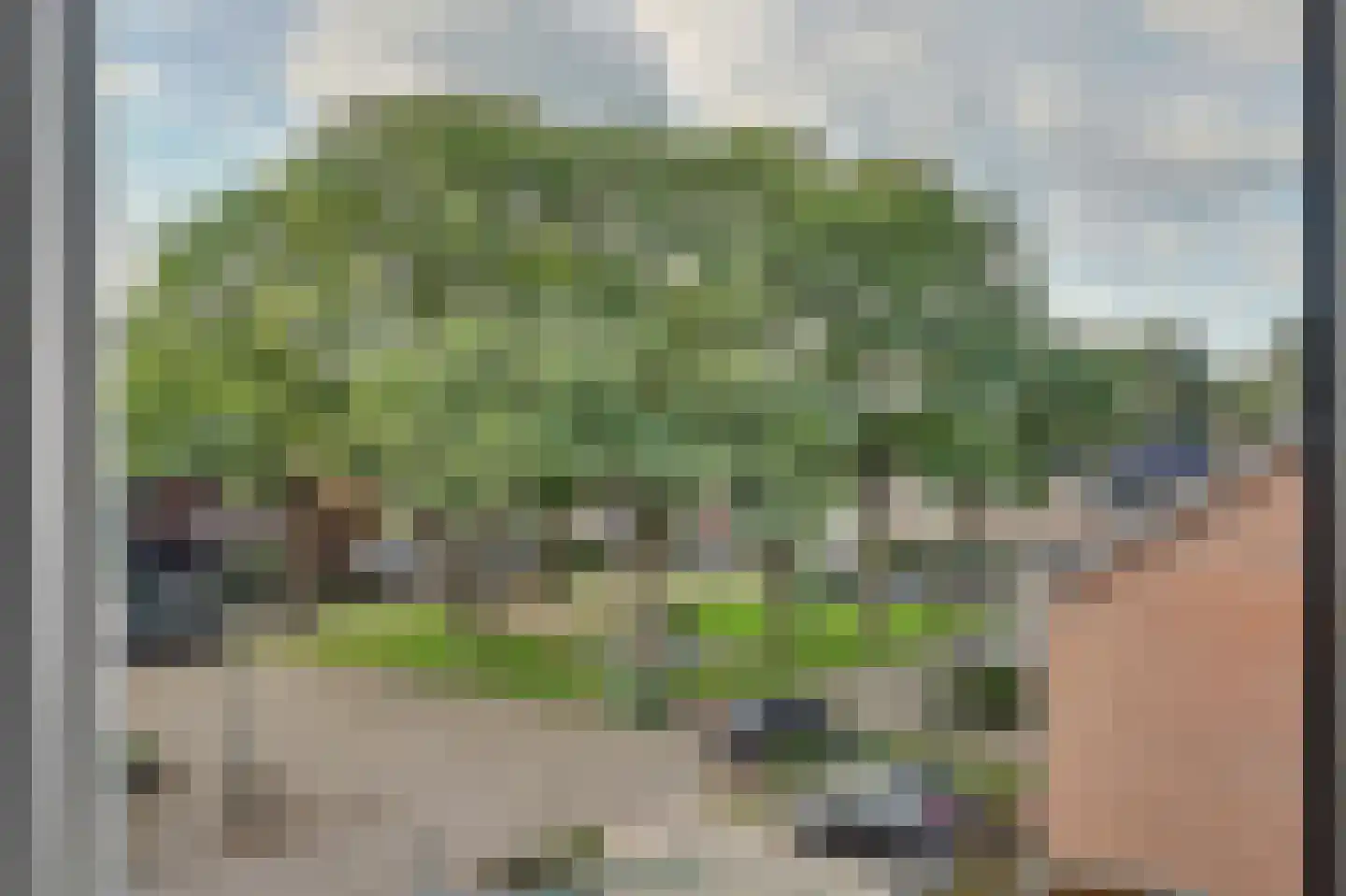 Groeneweg 60 Reusel thumbnail 30