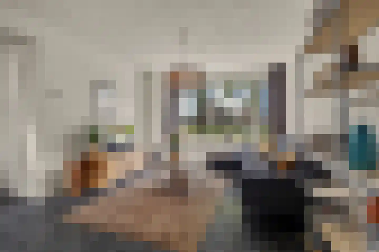 Groeneweg 60 Reusel thumbnail 8