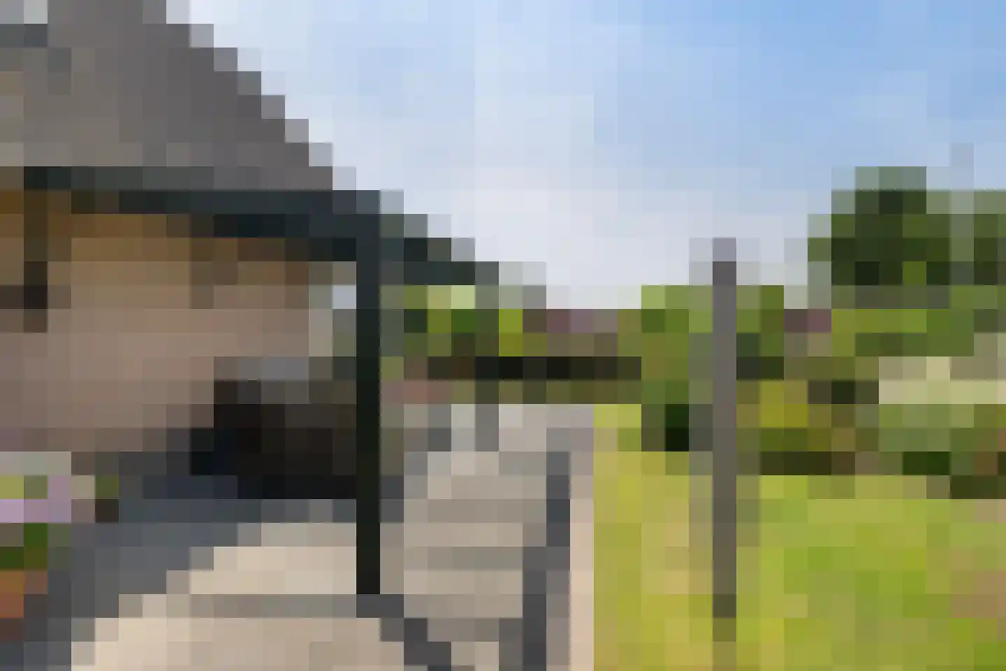 Groeneweg 62 's-Gravenzande thumbnail 18