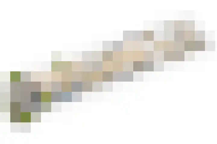 Groeneweg 69 D IJmuiden thumbnail 7