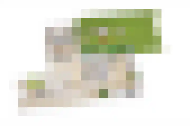 Groeneweg 69 H IJmuiden thumbnail 7